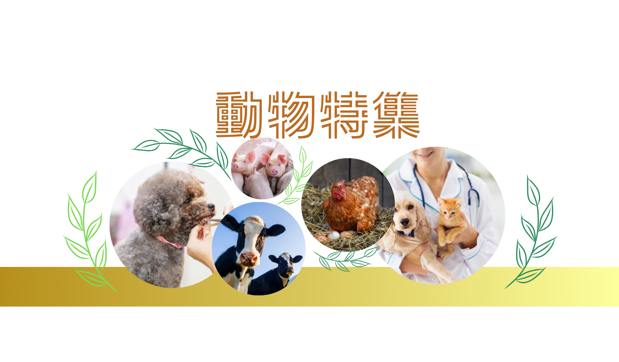 動物特集